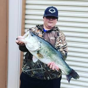 Meet your Posher, Drake